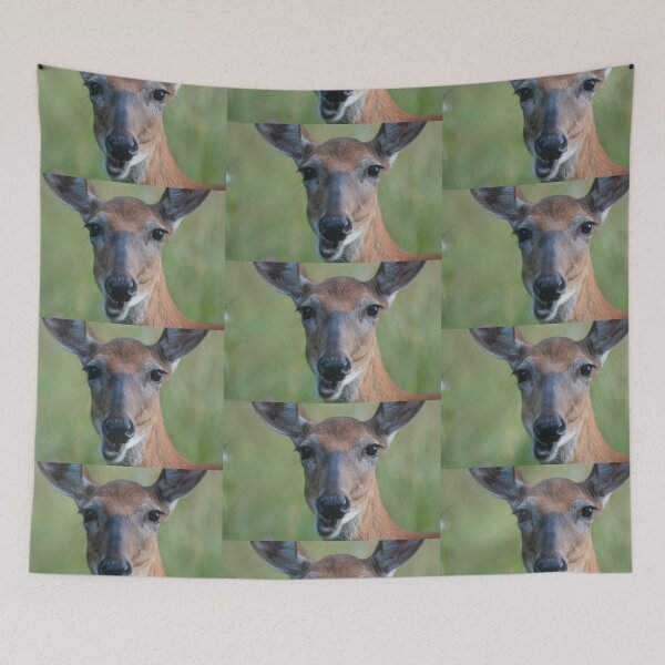 Item preview, Saucy White-tailed Deer doe chewing, looks chatty designed and sold by Steven Holt.