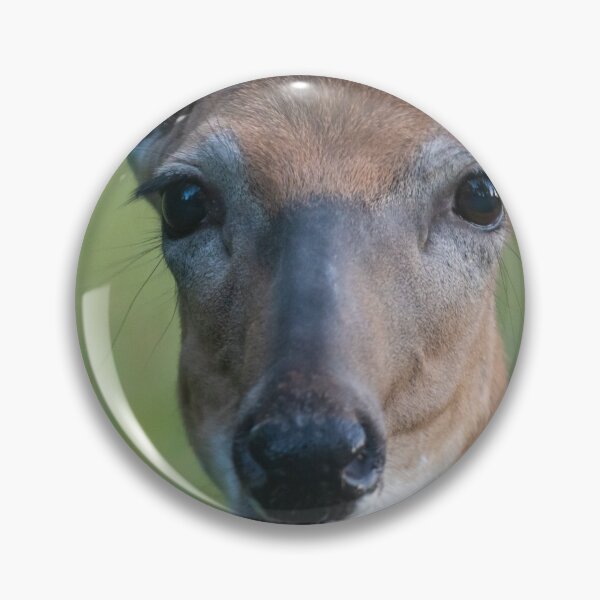 Item preview, Saucy White-tailed Deer doe chewing, looks chatty designed and sold by Steven Holt.