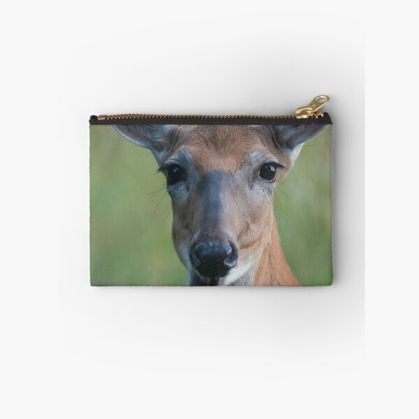 Item preview, Saucy White-tailed Deer doe chewing, looks chatty designed and sold by Steven Holt.