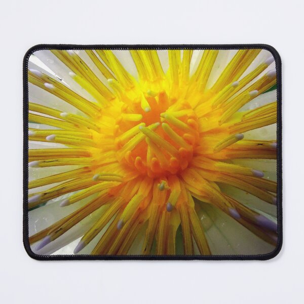 Item preview, Water Lillies & Lotuses #03 designed and sold by Jeffrey Mask.