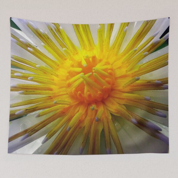 Item preview, Water Lillies & Lotuses #03 designed and sold by Jeffrey Mask.