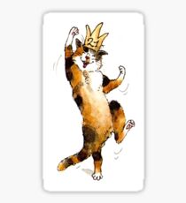 Happy 21st Birthday Cat Sticker