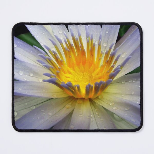 Item preview, Water Lillies & Lotuses #04 designed and sold by Jeffrey Mask.