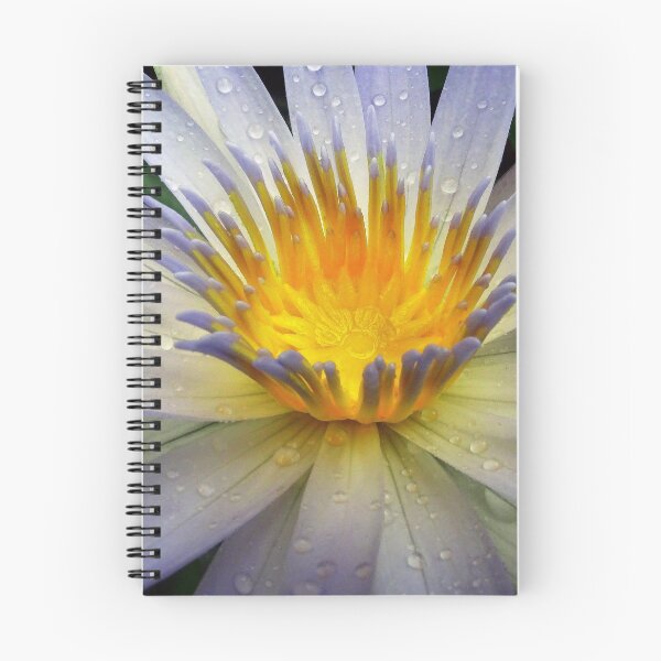 Item preview, Water Lillies & Lotuses #04 designed and sold by Jeffrey Mask.