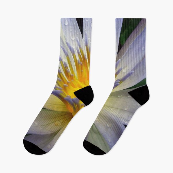 Item preview, Water Lillies & Lotuses #04 designed and sold by Jeffrey Mask.