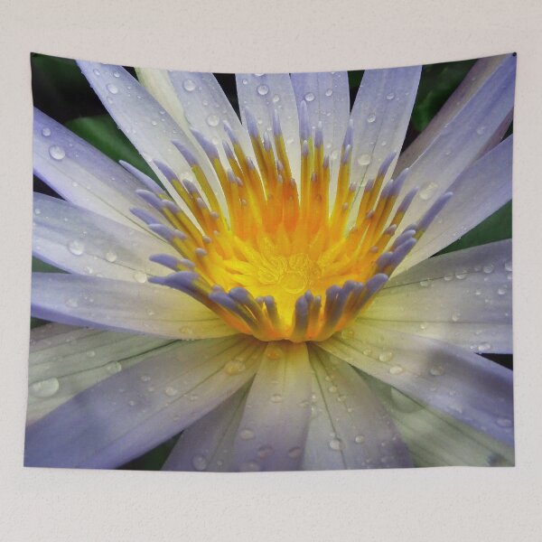 Item preview, Water Lillies & Lotuses #04 designed and sold by Jeffrey Mask.
