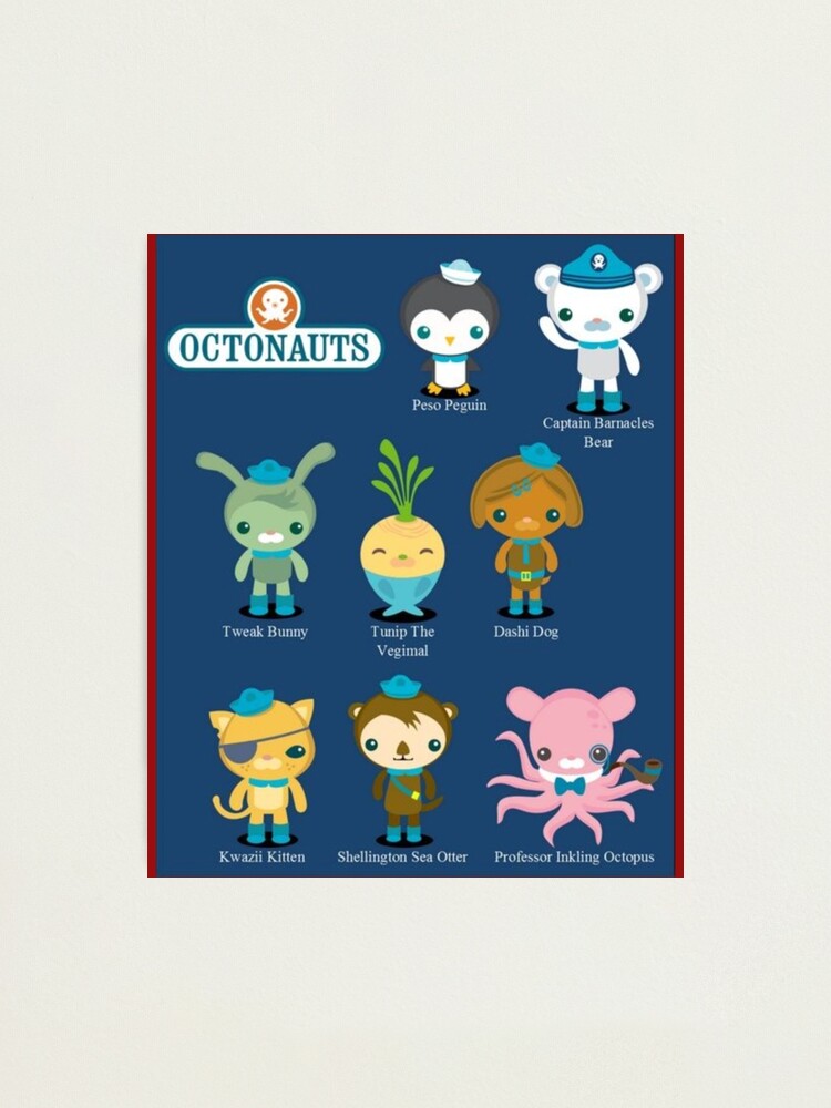 Octonauts Design    Photographic Print