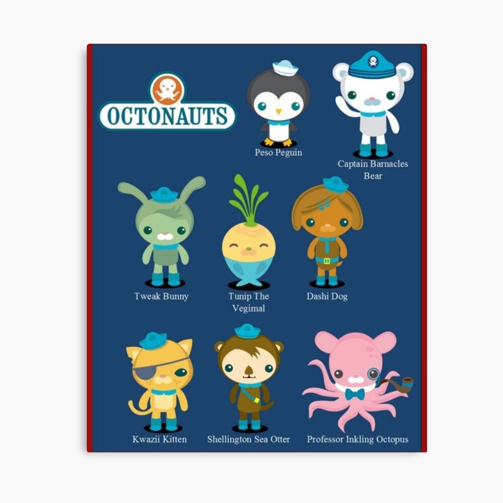 Octonauts Design    Photographic Print