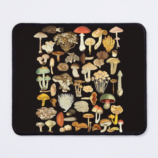 Item preview, Mushroom Shirt Mycology Fungi Foraging Mushroom Whisperer . designed and sold by HaydenLee162397.