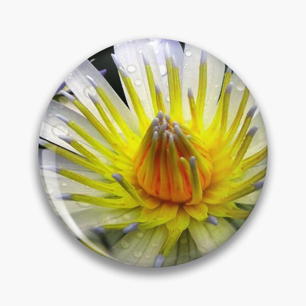 Item preview, Water Lillies & Lotuses #05 designed and sold by Jeffrey Mask.