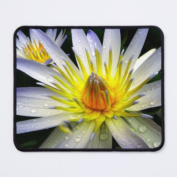 Item preview, Water Lillies & Lotuses #05 designed and sold by Jeffrey Mask.