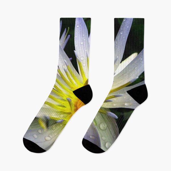 Item preview, Water Lillies & Lotuses #05 designed and sold by Jeffrey Mask.
