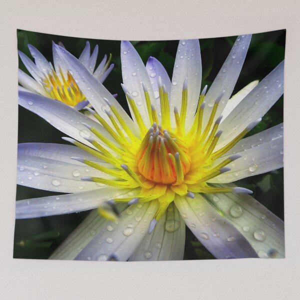 Item preview, Water Lillies & Lotuses #05 designed and sold by Jeffrey Mask.