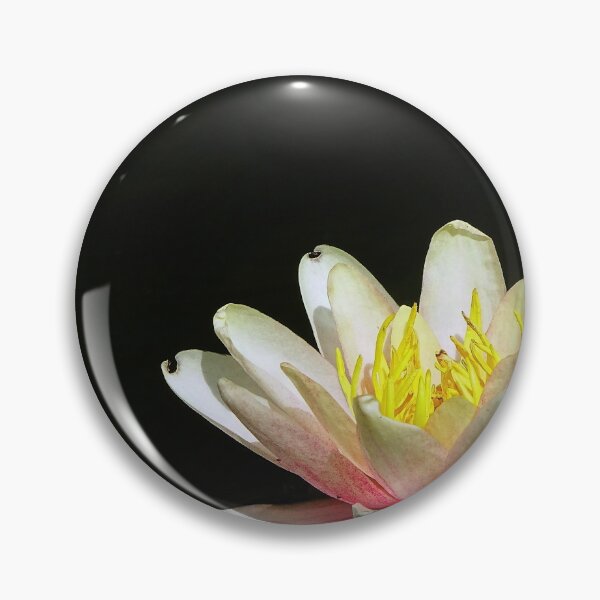 Item preview, Water Lillies & Lotuses #07 designed and sold by Jeffrey Mask.