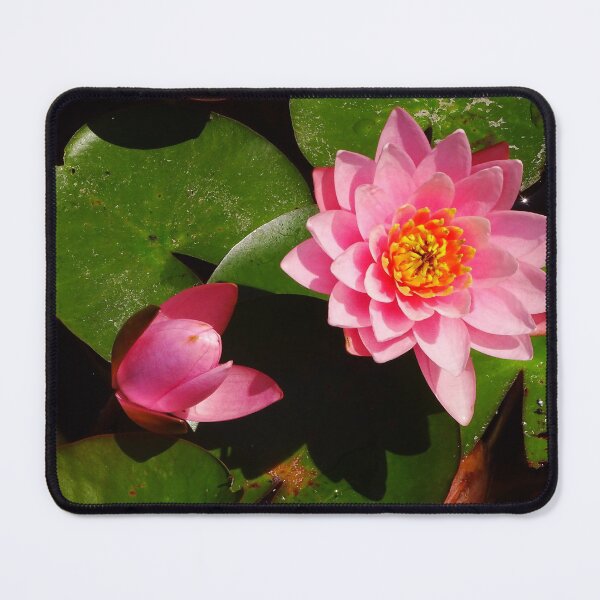 Item preview, Water Lillies & Lotuses #08 designed and sold by Jeffrey Mask.