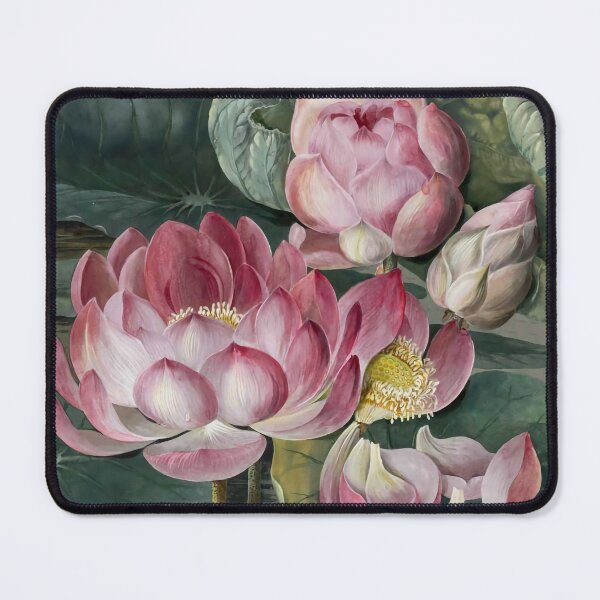 Sacred Lotus Water Lily Mouse Pad