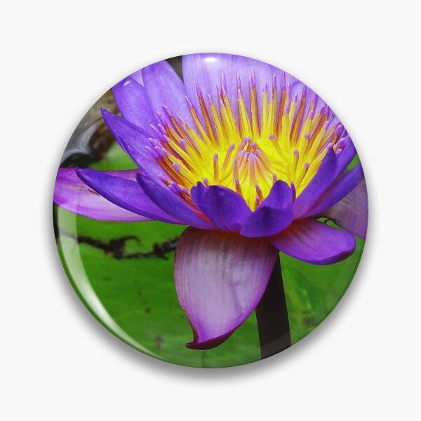 Item preview, Water Lillies & Lotuses #09 designed and sold by Jeffrey Mask.