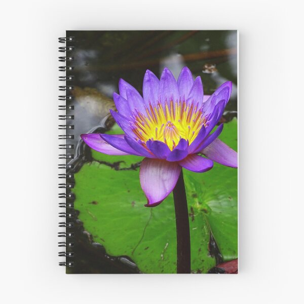Item preview, Water Lillies & Lotuses #09 designed and sold by Jeffrey Mask.