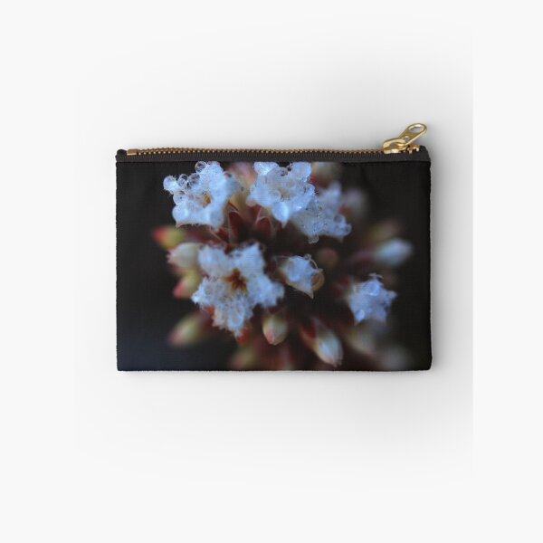 Item preview, Leucopogon virgatus  designed and sold by andrachne.