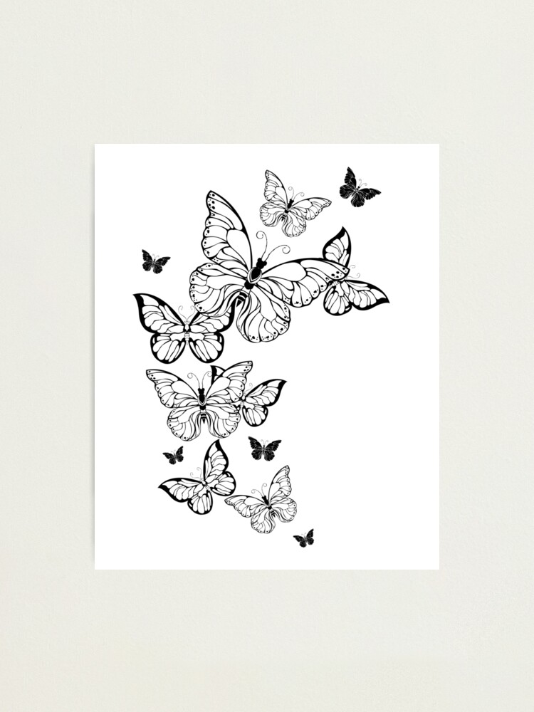 Flying Contour Butterflies | Photographic Print