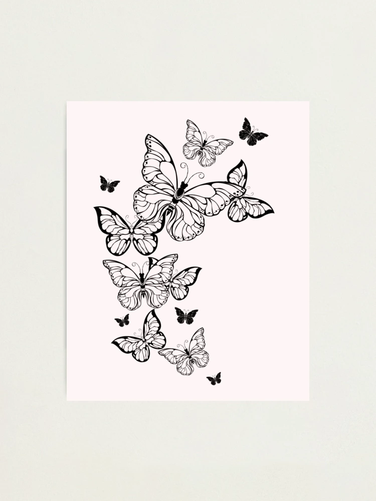 Flying Contour Butterflies Photographic Print for Sale by