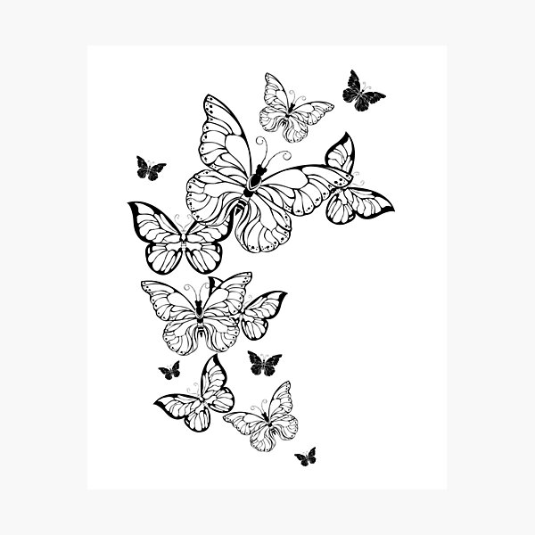 Flying Contour Butterflies Photographic Print for Sale by Blackmoon9