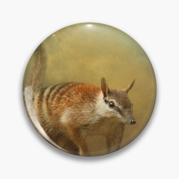 Item preview, Numbat on Branch One designed and sold by Elisabeth Lucas.