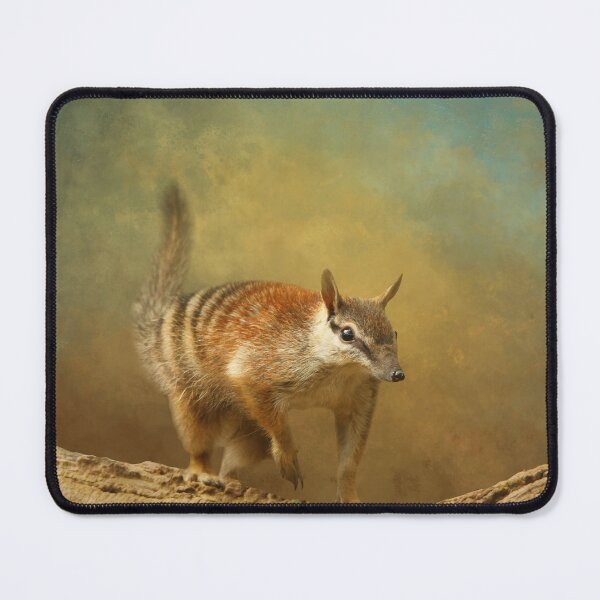 Item preview, Numbat on Branch One designed and sold by Elisabeth Lucas.