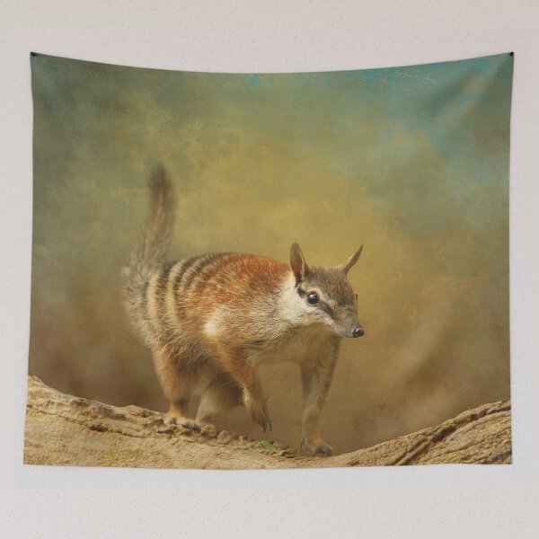 Item preview, Numbat on Branch One designed and sold by Elisabeth Lucas.
