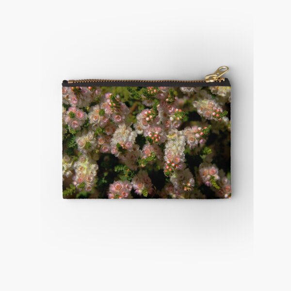 Item preview, Verticordia albida  designed and sold by andrachne.