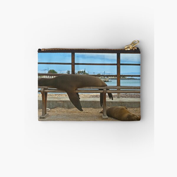 Item preview, Sea Lions & Pup designed and sold by bulljup.