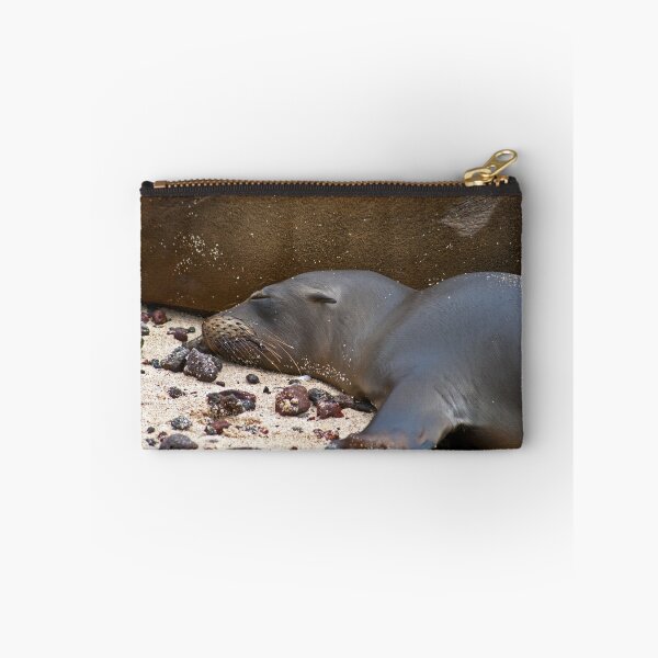 Item preview, Sea Lion Pup designed and sold by bulljup.