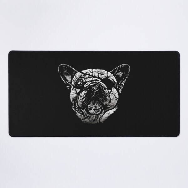 pug with eye patch