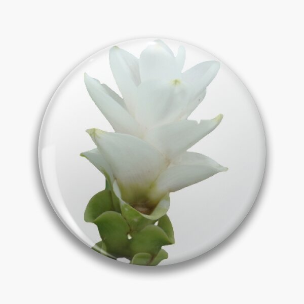 Item preview, This beautiful and durable flower delivery plant can be found in Thailand. designed and sold by greengoodnich.