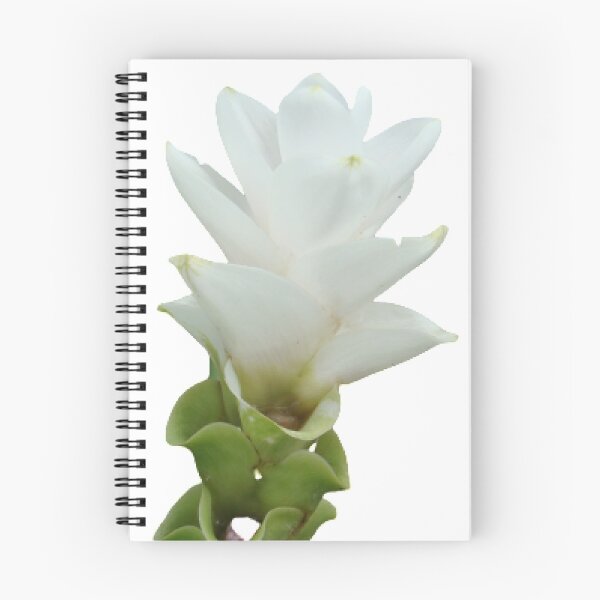 Item preview, This beautiful and durable flower delivery plant can be found in Thailand. designed and sold by greengoodnich.