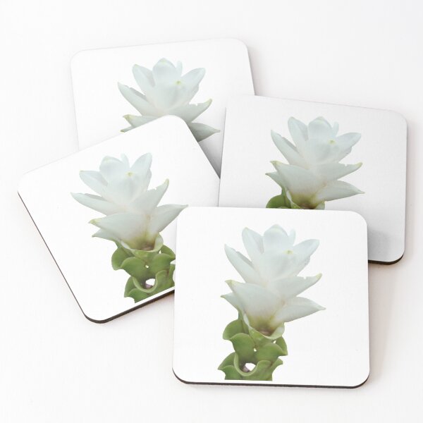 Item preview, This beautiful and durable flower delivery plant can be found in Thailand. designed and sold by greengoodnich.