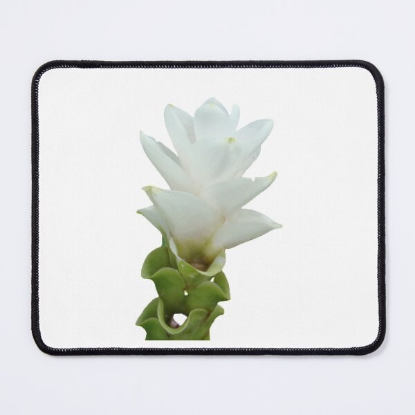 Item preview, This beautiful and durable flower delivery plant can be found in Thailand. designed and sold by greengoodnich.
