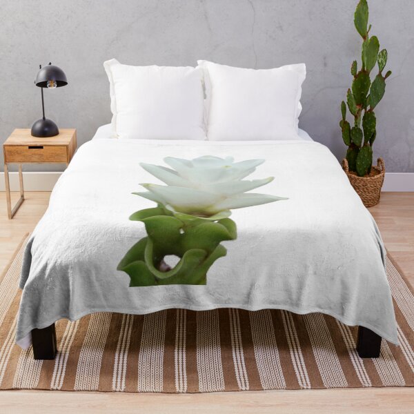 Item preview, This beautiful and durable flower delivery plant can be found in Thailand. designed and sold by greengoodnich.