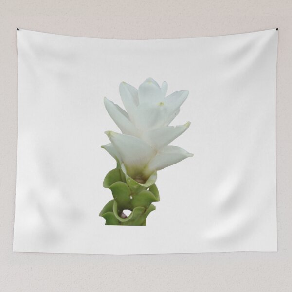 Item preview, This beautiful and durable flower delivery plant can be found in Thailand. designed and sold by greengoodnich.