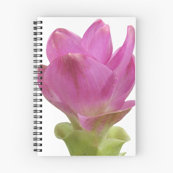 Item preview, The beauty that foreigners love when visiting Thailand designed and sold by greengoodnich.