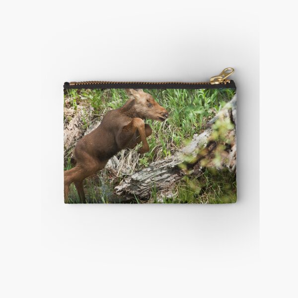 Item preview, Wildlife Olympics - Hurdles... Days Old Moose Calf designed and sold by A.M. Ruttle.