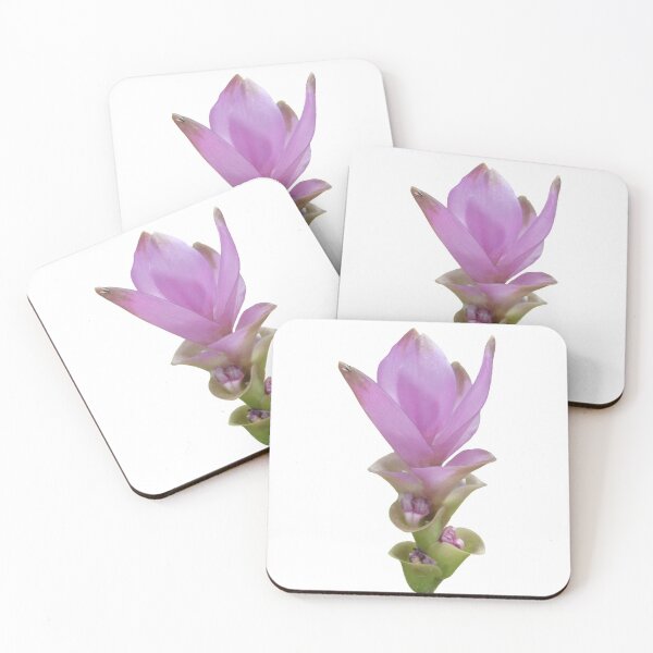 Item preview, The freshness and comfort when seeing this kind of flower in Thailand designed and sold by greengoodnich.