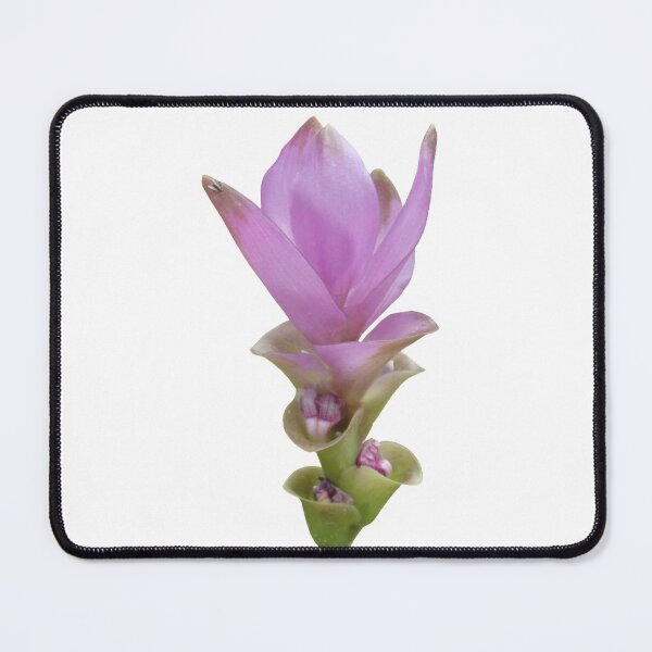 Item preview, The freshness and comfort when seeing this kind of flower in Thailand designed and sold by greengoodnich.