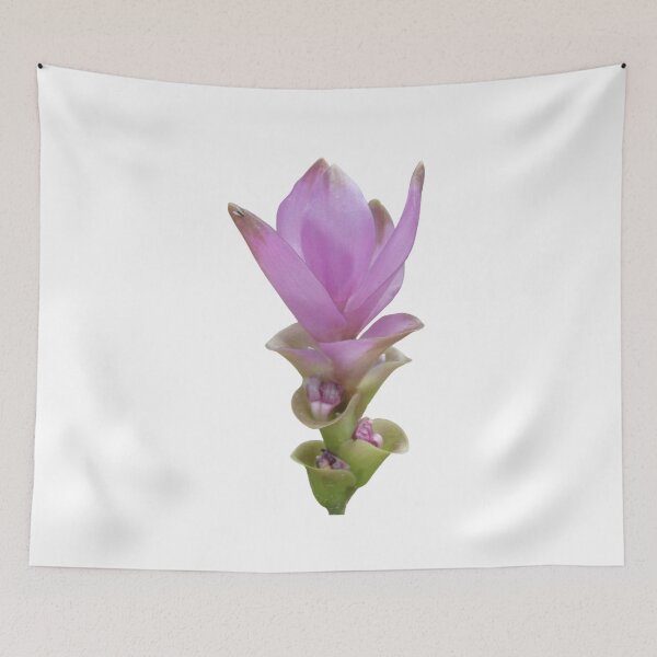 Item preview, The freshness and comfort when seeing this kind of flower in Thailand designed and sold by greengoodnich.