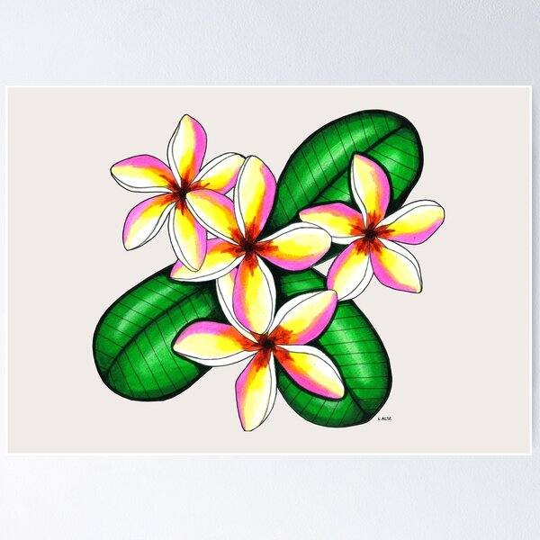 Item preview, Frangipanis designed and sold by Laural Retz.
