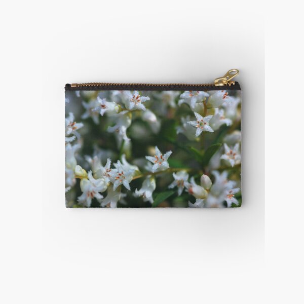 Item preview, Leucopogon pimeleoides designed and sold by andrachne.