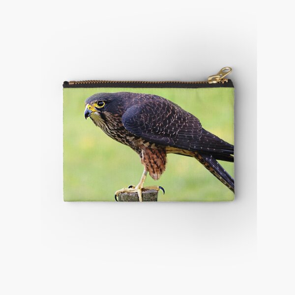 Item preview, New Zealand Falcon designed and sold by RobynCarter.