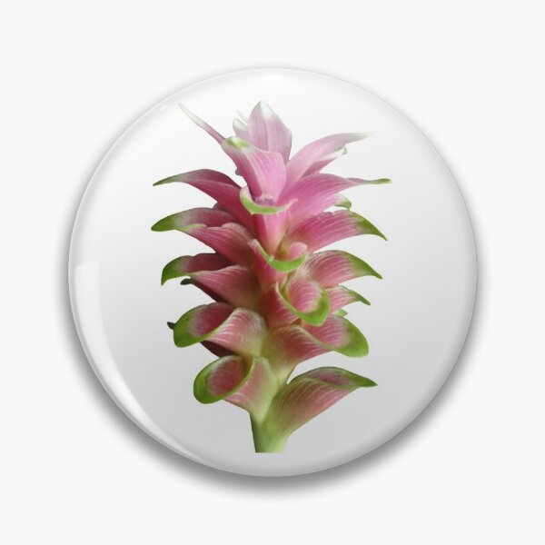 Item preview, These beautiful and durable tulip-like flowers are found in Thailand designed and sold by greengoodnich.