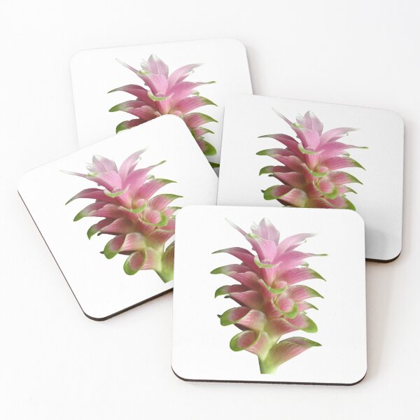 Item preview, These beautiful and durable tulip-like flowers are found in Thailand designed and sold by greengoodnich.