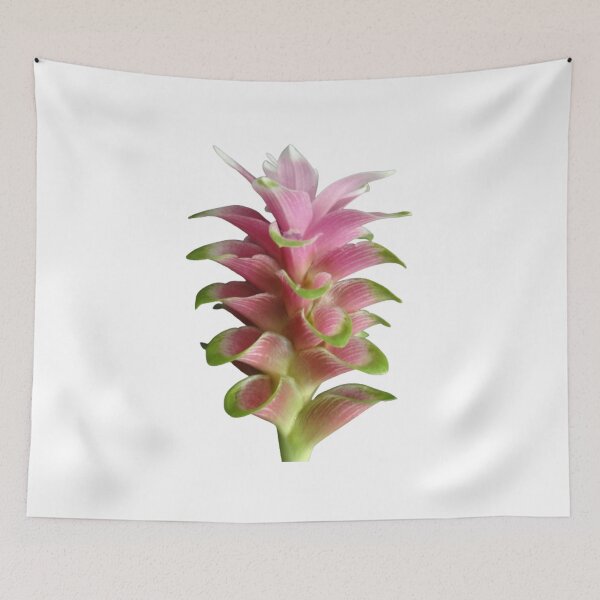 Item preview, These beautiful and durable tulip-like flowers are found in Thailand designed and sold by greengoodnich.